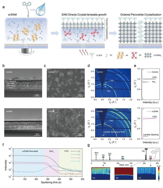 南工大Nat Commun详细解读：分子